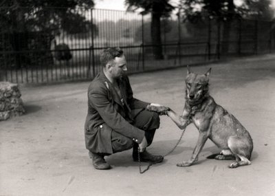 Keeper Leslie Martin Flewin with Peter, a Tame Wolf by Frederick William Bond